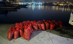 Üsküdar’da 2 ton kaçak midye ele geçirildi