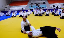 Bahçelievler'de aikido semineri düzenlendi