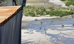 Bakanlıktan İSKİ'ye 3,3 milyon TL ceza