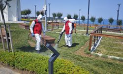 Arnavutköy'de park ve bahçeler belediye ekiplerince ilaçlanıyor