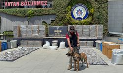 İstanbul’da uyuşturucu operasyonunda ele geçirilenler emniyette sergilendi