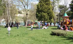 "Pikniğe çıkarken kene riskine karşı açık renkli kıyafetler giyin"