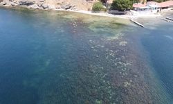 Parion Antik Kenti'nde Osmanlı tersanesi izlerine rastlandı
