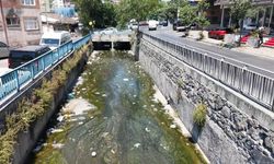 Galata Deresi çöple doldu, mahalleli tepki gösterdi