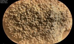NASA gizemli Mars küreleri keşfetti