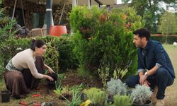 Güller ve Günahlar zirvede