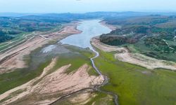 Mega kentte kuraklığın izleri