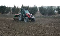 Büyükçekmece’de atıl araziler buğdayla buluştu