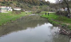 Eyüpsultan'daki gölde balık ölümleri yaşandı