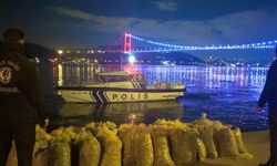 İstanbul’da 2 ton 350 kilogram kaçak midye ele geçirildi