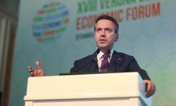 'Doğal gaz abone sayısı 22 milyona yükseldi'