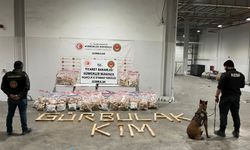 Ticaret Bakanlığı Gümrükler Muhafaza ekipleri, kaçakçılıkla mücadelesini sürdürüyor