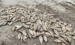 Döküm alanına çevrilen gölde korkutan manzara