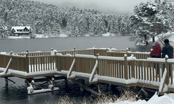 Gölcük Tabiat Parkı beyaz örtüyle kaplandı