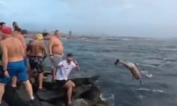 Fatih'te soğuk havaya aldırış etmeden denizde yüzdüler