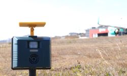 İstanbul ve Sabiha Gökçen havalimanlarında kuş sürüleri için ornitologlar görev başında