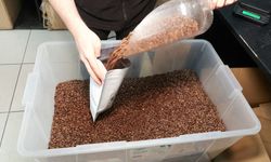 'Türkiye'de kişi başı kahve tüketimi 10 yılda 4 kat arttı'