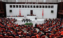 Türk bayrağına saldırıya ortak tepki