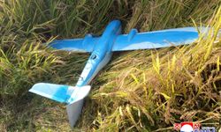 Kuzey Kore'de İHA krizi