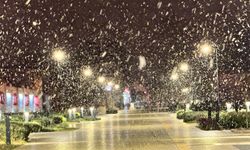 Edirne'de yoğun kar yağışı etkili oluyor