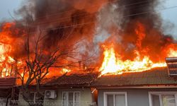 Kediler üşümesin diye yakılan soba faciaya dönüştü