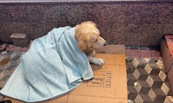 Yürek ısıtan görüntü