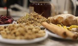 Doğal şifa kaynağı: Kış çayı