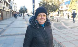 Zeliha Teyze soğukta kuşların umudu oldu