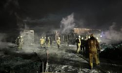 Büyükçekmece'deki büyük yangın söndürüldü