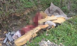 Yol kenarındaki kemiklerin izi sürüldü! Sonrası korkunç