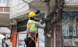 Küçükçekmece’de kış dayanışması