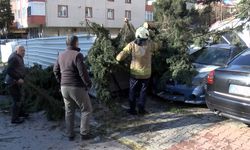 Kırılan çam ağacı otomobilin üzerine devrildi