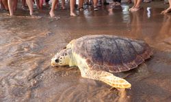Caretta 'Atlas', dünyayı dolaşıyor