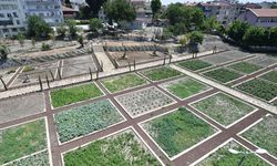 Fatih'te 'bahçeden sofraya' hizmet! Doğal gıdaya kolay ulaşım