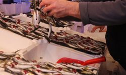 Tezgahlar istavritle dolup taştı