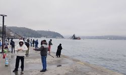 İstanbul'da balık bolluğu yüz güldürdü