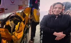 Sarıyer'de mantar toplamaya giden kadın dehşeti yaşadı