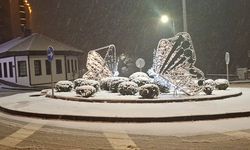 Bursa beyaza büründü