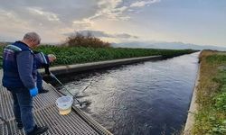 2025'te çevreyi kirleten 6 bin 977 tesise 4 milyon lira ceza