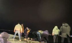 Yayıncı denize atlayan kadını son anda kurtardı