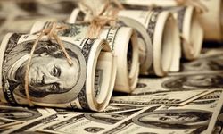 Dolar zirveyi güncelledi