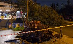 İstanbul'da şiddetli fırtına hayatı olumsuz etkiledi