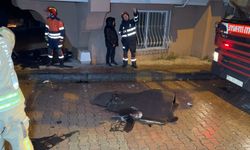 İstanbul'da fırtına etkili oldu; bazı binaların çatıları uçtu