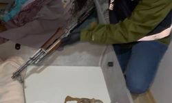 Evinde uzun namlulu silah bulunan şüpheli yakalandı