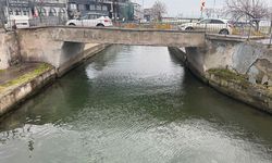 Her lodos teknelere engel oluyor