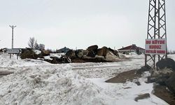 Kuduz vakası tespit edilen köye karantina