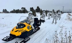 Mehmetçiğe 'askeri kayakçılık' eğitimi