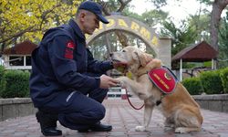 JAK köpeği 'Ocak', 48 can kurtardı