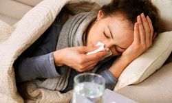 Grip ve nezle vakaları zirvede