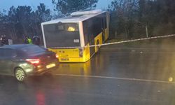 İstanbul'da İETT otobüsü ormanlık alana uçtu